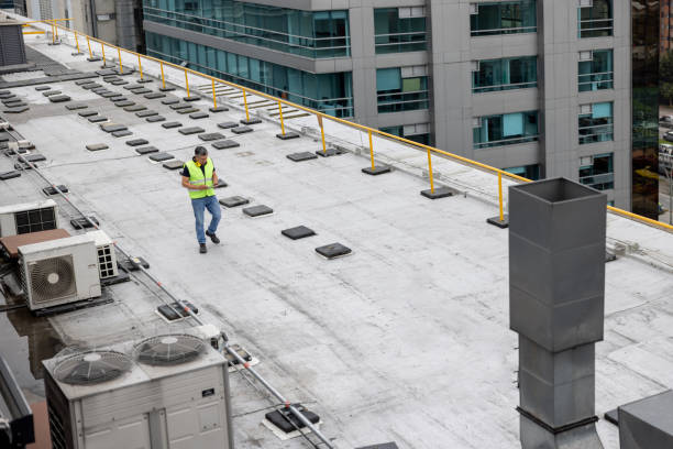 Best Roof Leak Repair  in The Meadows, FL