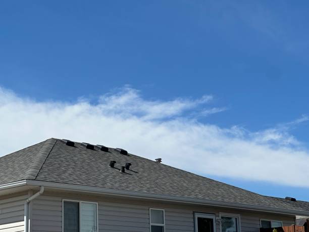 Roof Coating Services in The Meadows, FL